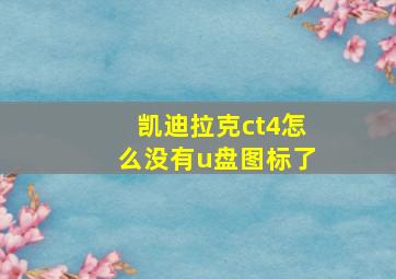 凯迪拉克ct4怎么没有u盘图标了