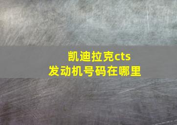 凯迪拉克cts发动机号码在哪里