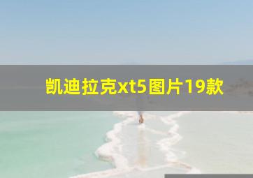 凯迪拉克xt5图片19款