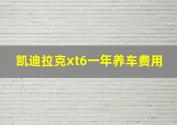 凯迪拉克xt6一年养车费用