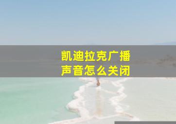 凯迪拉克广播声音怎么关闭