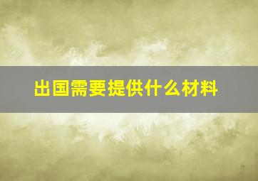 出国需要提供什么材料