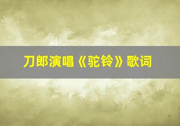 刀郎演唱《驼铃》歌词