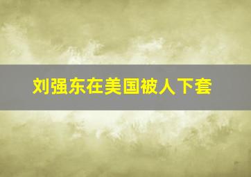 刘强东在美国被人下套