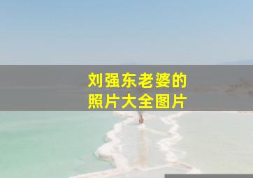 刘强东老婆的照片大全图片