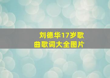 刘德华17岁歌曲歌词大全图片