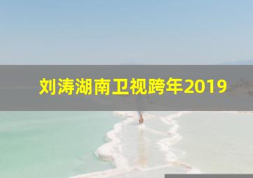 刘涛湖南卫视跨年2019