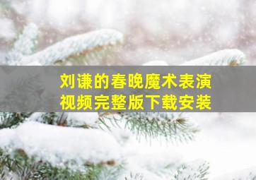 刘谦的春晚魔术表演视频完整版下载安装