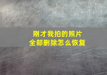 刚才我拍的照片全部删除怎么恢复