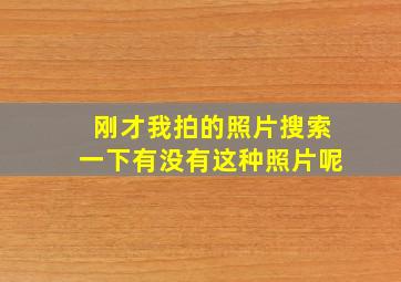 刚才我拍的照片搜索一下有没有这种照片呢