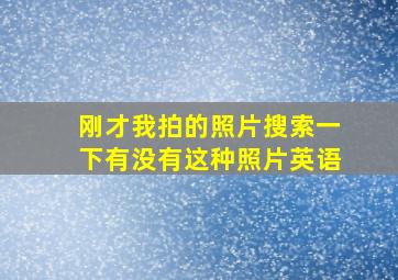 刚才我拍的照片搜索一下有没有这种照片英语