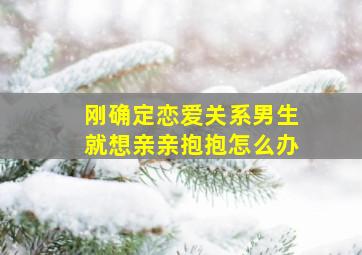 刚确定恋爱关系男生就想亲亲抱抱怎么办