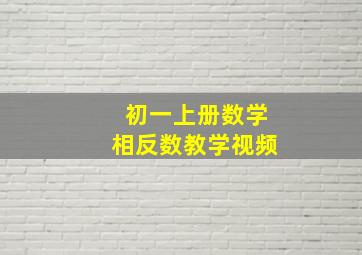 初一上册数学相反数教学视频