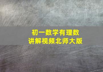 初一数学有理数讲解视频北师大版