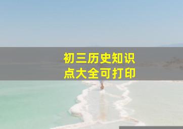 初三历史知识点大全可打印