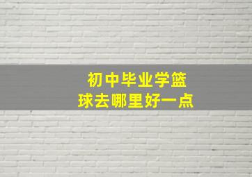 初中毕业学篮球去哪里好一点