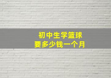 初中生学篮球要多少钱一个月