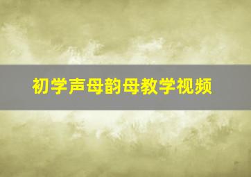 初学声母韵母教学视频