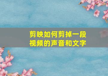 剪映如何剪掉一段视频的声音和文字