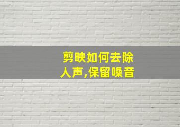 剪映如何去除人声,保留噪音