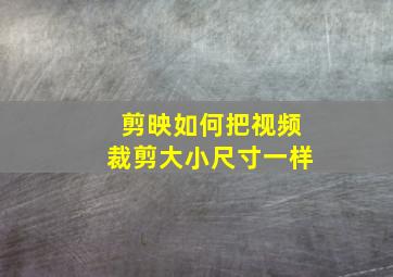 剪映如何把视频裁剪大小尺寸一样