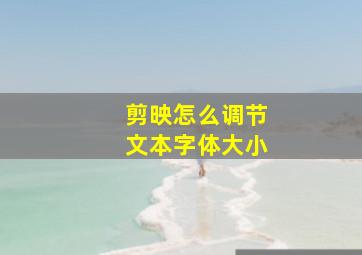 剪映怎么调节文本字体大小