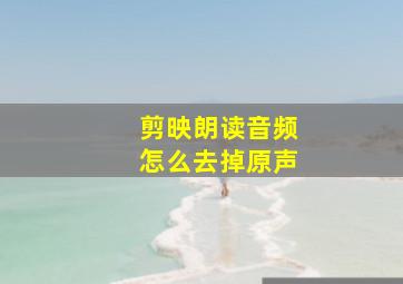 剪映朗读音频怎么去掉原声