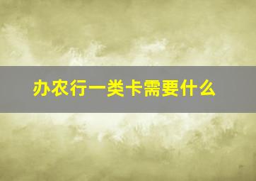 办农行一类卡需要什么