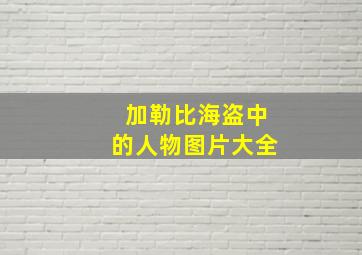 加勒比海盗中的人物图片大全