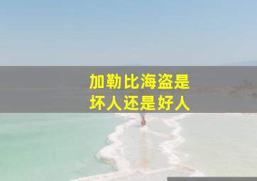 加勒比海盗是坏人还是好人