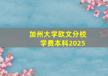 加州大学欧文分校学费本科2025