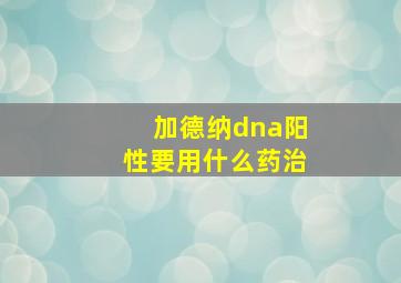 加德纳dna阳性要用什么药治