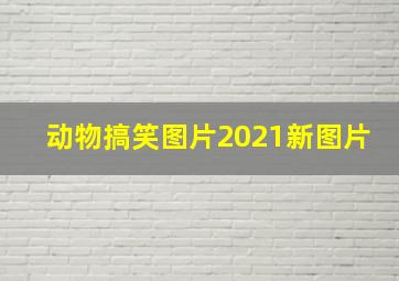 动物搞笑图片2021新图片