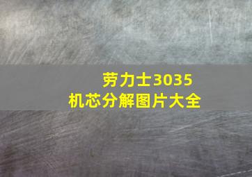 劳力士3035机芯分解图片大全