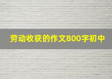 劳动收获的作文800字初中