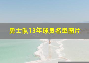 勇士队13年球员名单图片