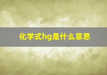 化学式hg是什么意思