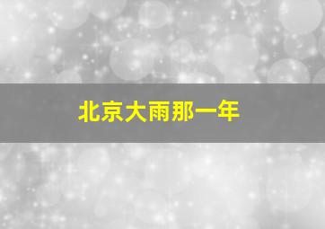 北京大雨那一年