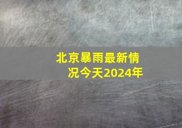 北京暴雨最新情况今天2024年