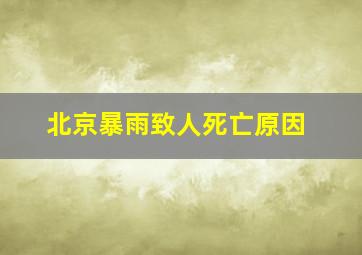 北京暴雨致人死亡原因