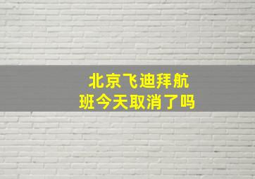 北京飞迪拜航班今天取消了吗