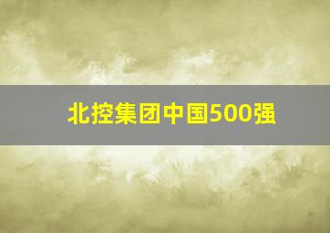 北控集团中国500强