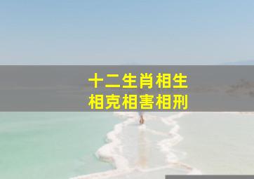 十二生肖相生相克相害相刑