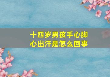 十四岁男孩手心脚心出汗是怎么回事