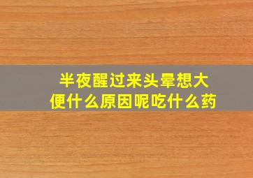 半夜醒过来头晕想大便什么原因呢吃什么药