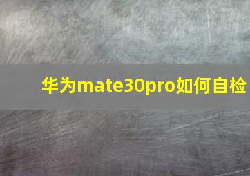 华为mate30pro如何自检