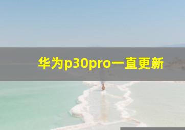 华为p30pro一直更新