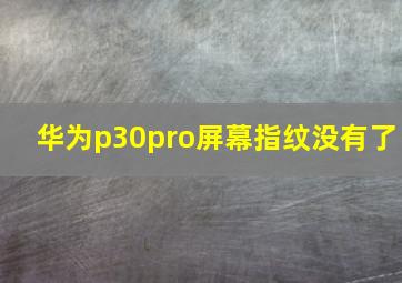 华为p30pro屏幕指纹没有了