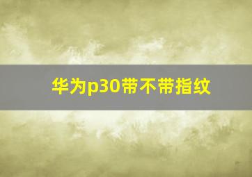 华为p30带不带指纹