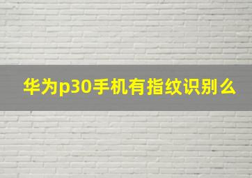 华为p30手机有指纹识别么